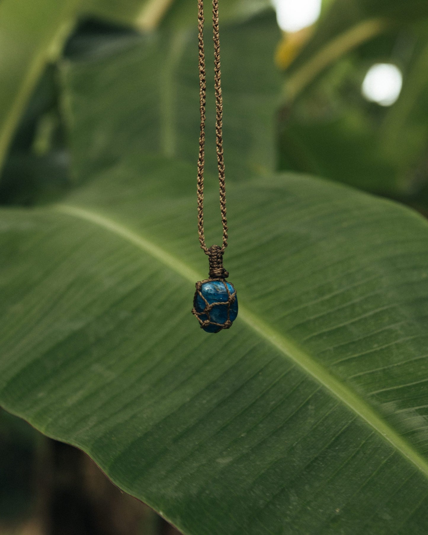 Collar Wild Apatito